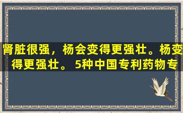 肾脏很强，杨会变得更强壮。杨变得更强壮。 5种中国专利药物专门用于治疗“小肌肉”